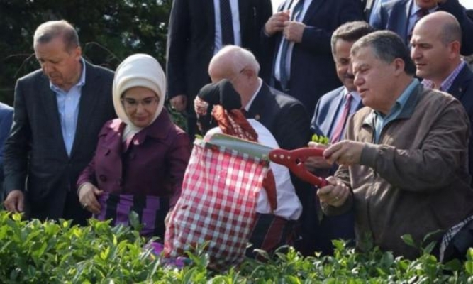 Erdoğan'ı beraat ettiren Yargıtay Başkanı, barolara yüklendi: Son derece çirkin...