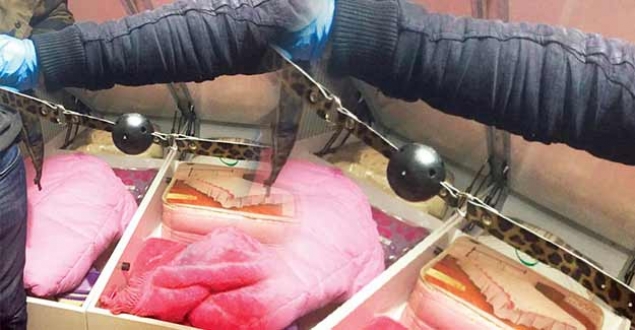 İstanbul'da seks oyuncaklı tecavüz!