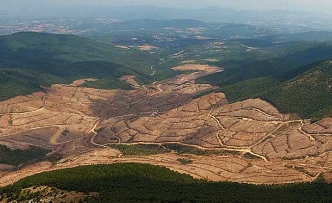 Topraklarımız Kanadalı şirketlerin çiftliğine döndü: Zonguldak'ta yasadışı arama