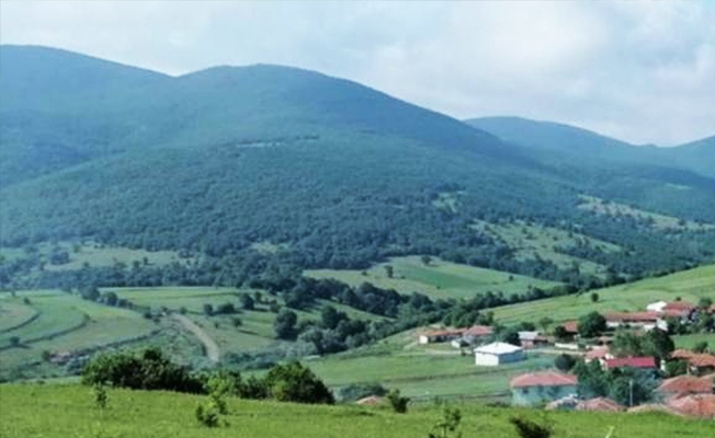 Kanadalı şirketler bu sefer de gözü Samsun'a dikti!