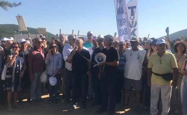 Doktorlar isyan etti: 800 bitki çeşidi yok olacak