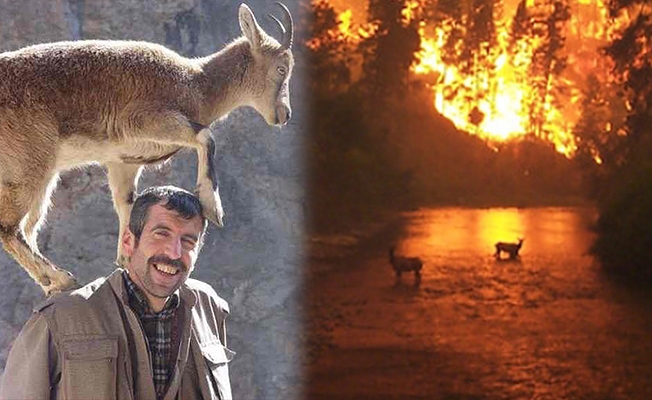 Doğa düşmanı katiller!