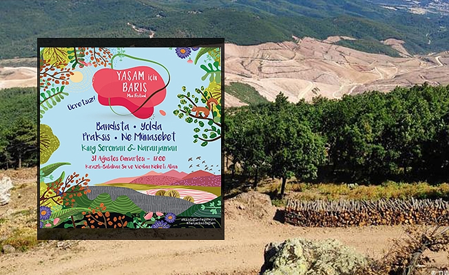 Haydi festivale: Kaz Dağları direnişi barışın ezgileriyle renkleniyor