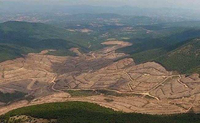 Kaz Dağları'nda katliam sürüyor: Siyanür kuyuları açtılar!