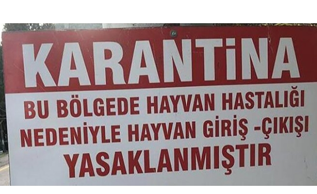 Konya'da karantina: Giriş ve çıkışa kapatıldı