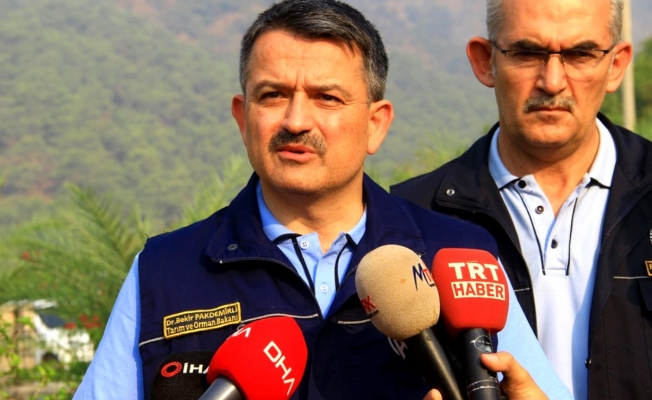 Bakan Pakdemirli Pendik'teki orman yangınıyla ilgili açıkladı: "Terör bağlantısı mevcut"
