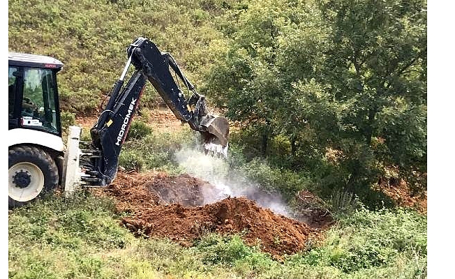 Kokudan şikayetçi oldular: 6 bin ölü tavuk çıktı