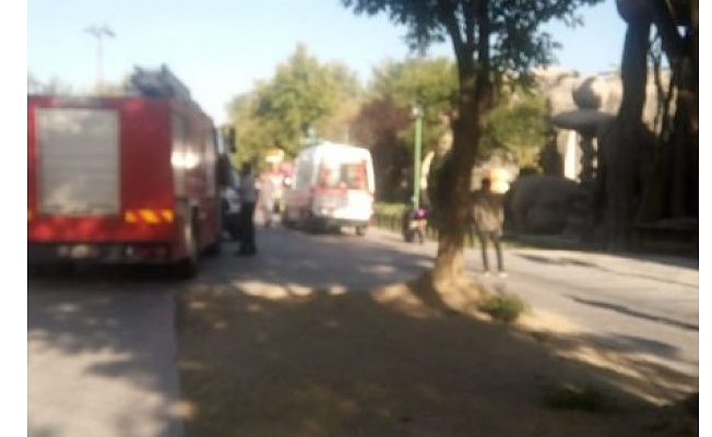 Ankapark'ta işçiden oyuncağın üstünde eylem!