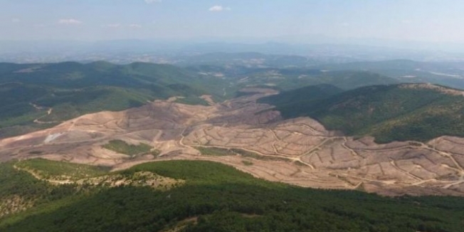 Kaz Dağları'ndaki katliam 'ticari sır' oldu!