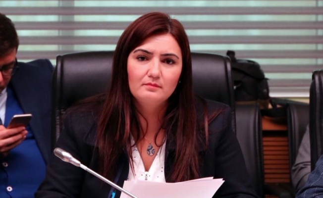 CHP'li Kılıç açıkladı: Hukuk fakültesine veteriner dekan!