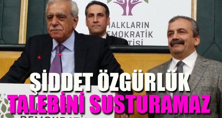 Ahmet Türk : Şiddet özgürlük talebini susturamaz