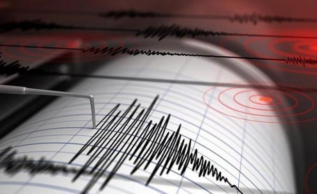 Van'da korkutan deprem