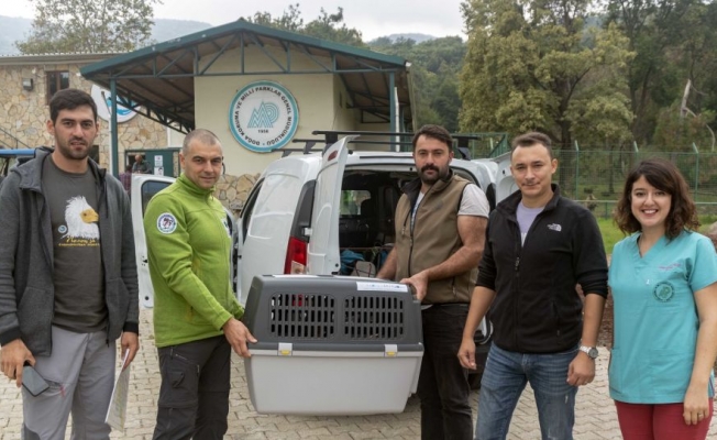Tedavisi bitti, ülkesine kavuştu