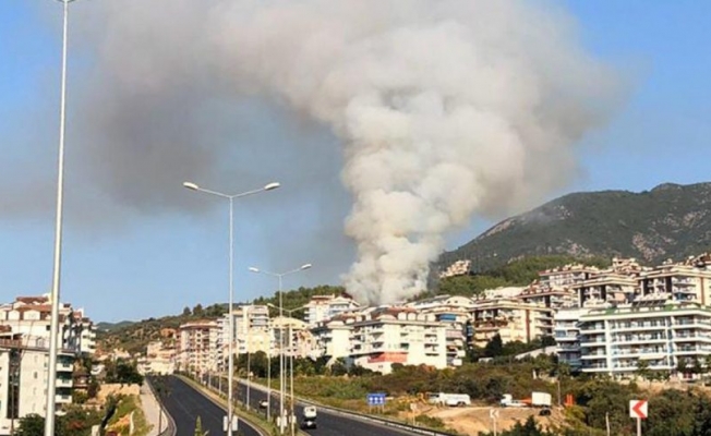 Antalya'da orman yangını