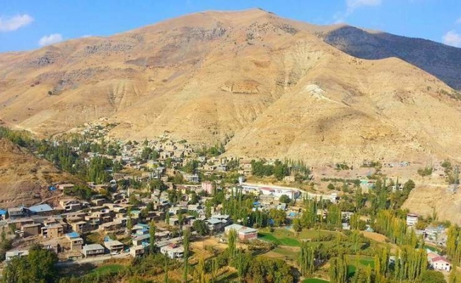 PKK Şırnak'ta orman işçilerine saldırdı: 4 yaralı