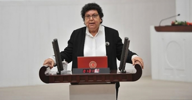 CHP'li Sarıhan, 'cumhurbaşkanına hakaret'i Meclis gündemine taşıdı