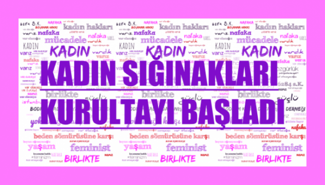 22. Kadın Sığınakları ve Da(ya)nışma Merkezleri Kurultayı