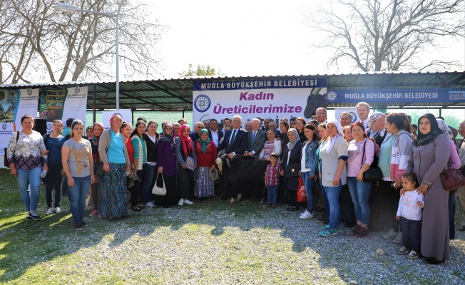 Muğlalı kadınlara kıl keçisi desteği