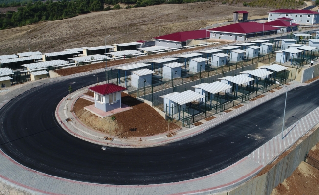 Adana’da modern hayvan barınağı için geri sayım başladı…