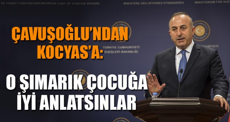 Çavuşoğlu: O şımarık çocuğa da iyi anlatsınlar