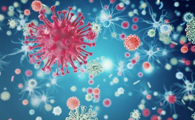 Yirmi yıl sonra yeni bir HIV türü keşfedildi