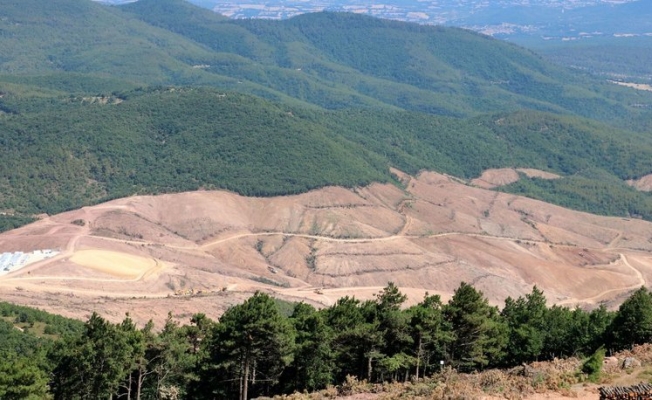 Kaz Dağları şirketi kapasite arttırmayacak