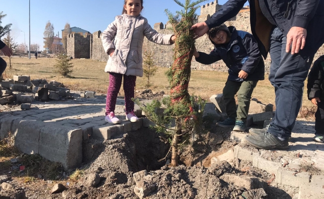 Ardahan Belediyesi’nden ağaçlandırma seferberliği