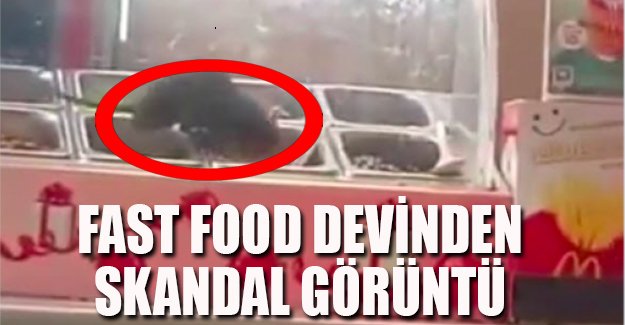 Tatlı reyonunda sıçanın cirit attığı McDonalds, kanalizasyonları suçladı
