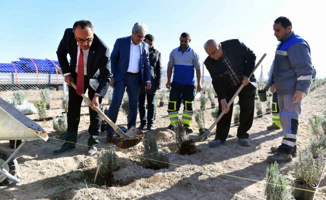 Ankara'da çocuklara tarım alanı geliyor