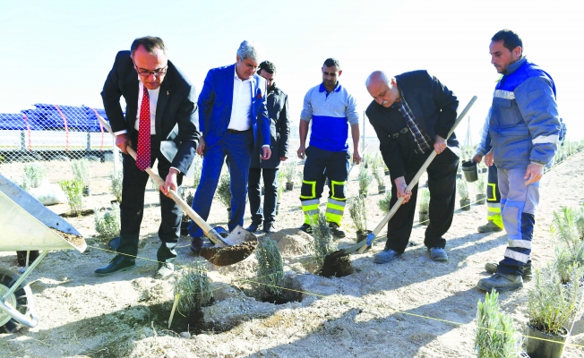 Ankara'da çocuklara tarım alanı geliyor