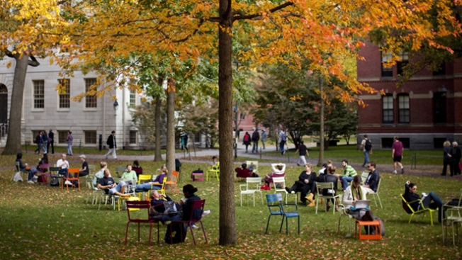 Harvard Üniversitesi müziğin evrensel olduğunu kanıtladı