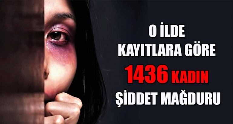 O ilde 1436 şiddet mağduru kadın devlete sığındı!
