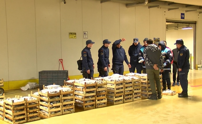 13 ton balık yasak olduğu halde avlanmış