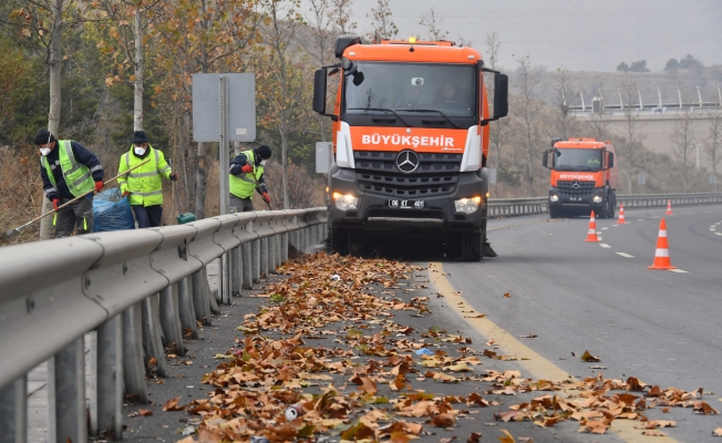 Ankara’da yaprak temizliği