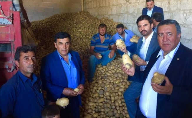 Patates üreticisine darbe