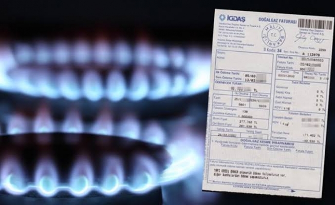 Enerji Bakanı'ndan tuhaf doğalgaz açıklaması