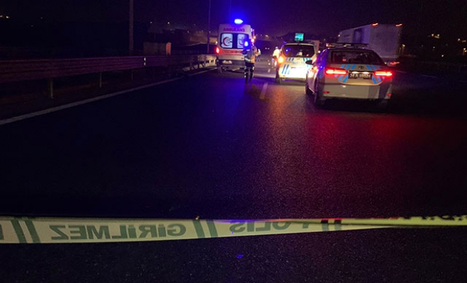 Düşen plakayı almak istedi canından oldu