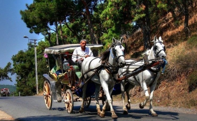 Adalar'da Fayton yasaklandı!