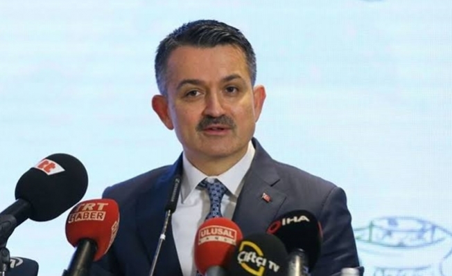Bakan Pakdemirli: ‘balıkçılara destek ödemeleri 13 milyon TL’
