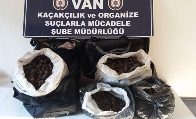 Valizlerinden 83 kilo trüf mantarı çıktı