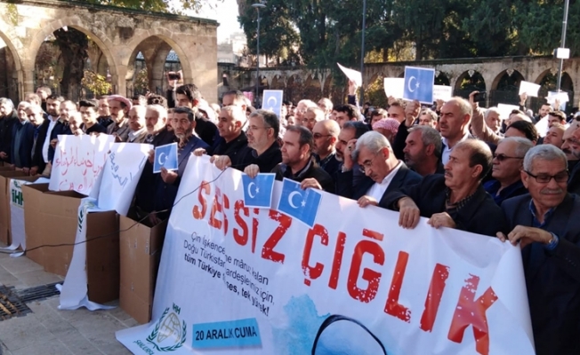 Urfa'da Kartondan Protesto