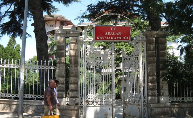 Adalar'da itlaf edilen at sahiplerine soruşturma