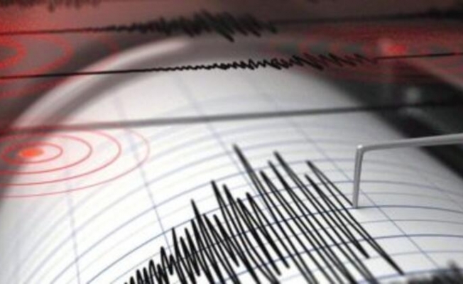İran'da nükleer santral yakınında şiddetli deprem