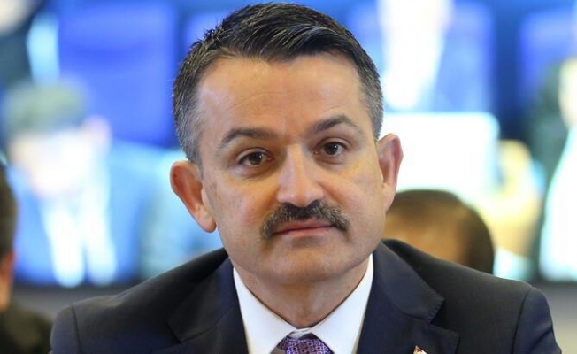 'Kaçak fidan kesene 10 yıla kadar hapis cezası var'