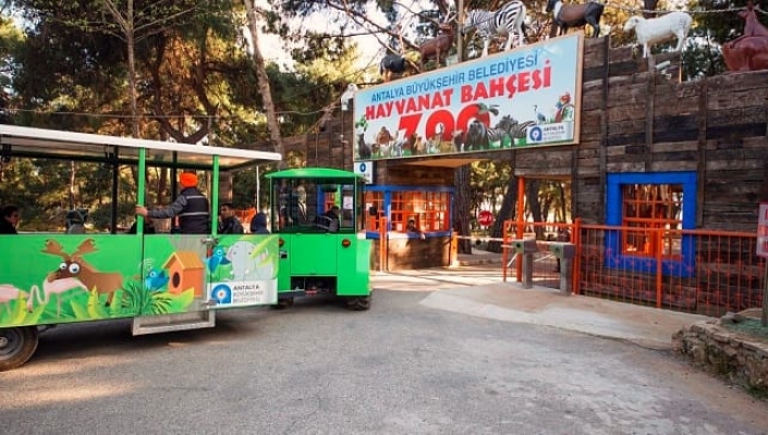 Hayvanat Bahçesi'ne ziyaretçi akını