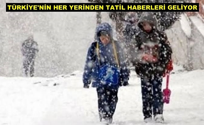 Hangi şehirlerde okullar tatil oldu?