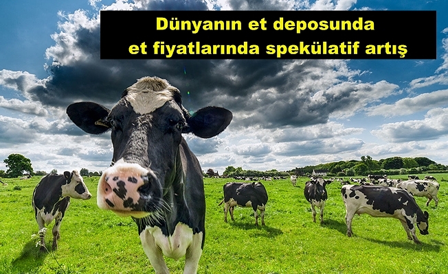 Kazakistan hayvan ihracatını yasakladı
