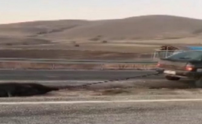 Ölü hayvanı arabasıyla metrelerce sürükledi