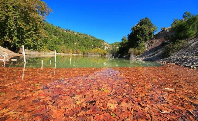 Doğa tahribatına yasal kılıf