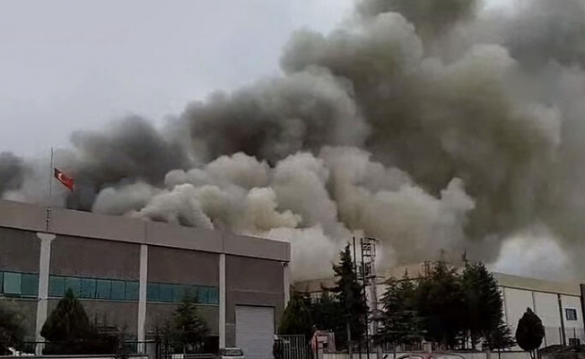 Manisa'da yangın